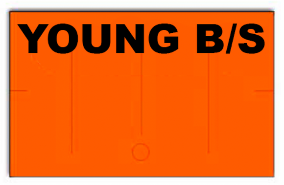 [CUSTOM] Signet 1912 compatible Fluorescent Orange Labels - Young B/S